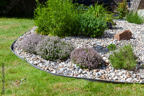 Jardin d'agrément et botanique - Plants de thyms, lavande entouré de galets en bordure d'une pelouse