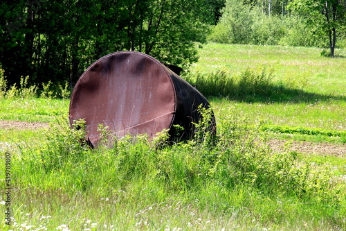 Large metal barrel for water. A metal water barrel stands in the garden.Old rusty Barrel for Irrigation at the Agricultural Field 