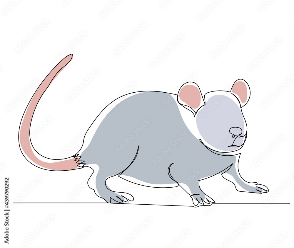 mouse drawing by one continuous line, isolated, vector mouse drawing by one continuous line, isolated, vector