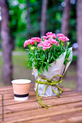 Fototapeta Naklejka Na Ścianę i Meble -  Many small pink cloves in vase on wooden table outdoor.