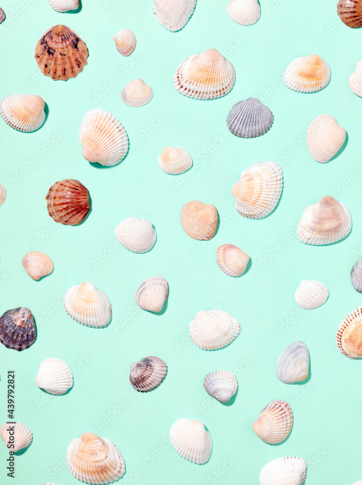 Sea shells pattern on blue background. Flat lay, top view. Sea shells pattern on blue background. Flat lay, top view.