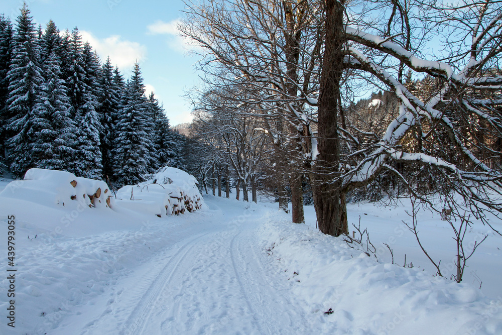 Fototapeta premium Winterlandschaft, ein Zauber in Schnee und Eis. Kleinschmalkalden, Thueringen, Deutschland, Europa-- Winter landscape, a magic in snow and ice. Kleinschmalkalden, Thuringia, Germany, Europe