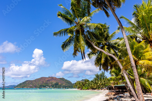 Cote D'Or Beach (Anse Volbert) on Praslin Island, beautiful tropical sandy beach with lush coconut palm trees, azure ocean and no people.. photo
