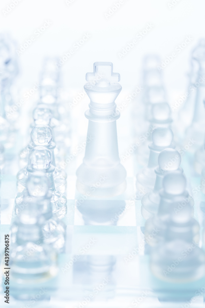 Chess - king, pawns, knight, win concept