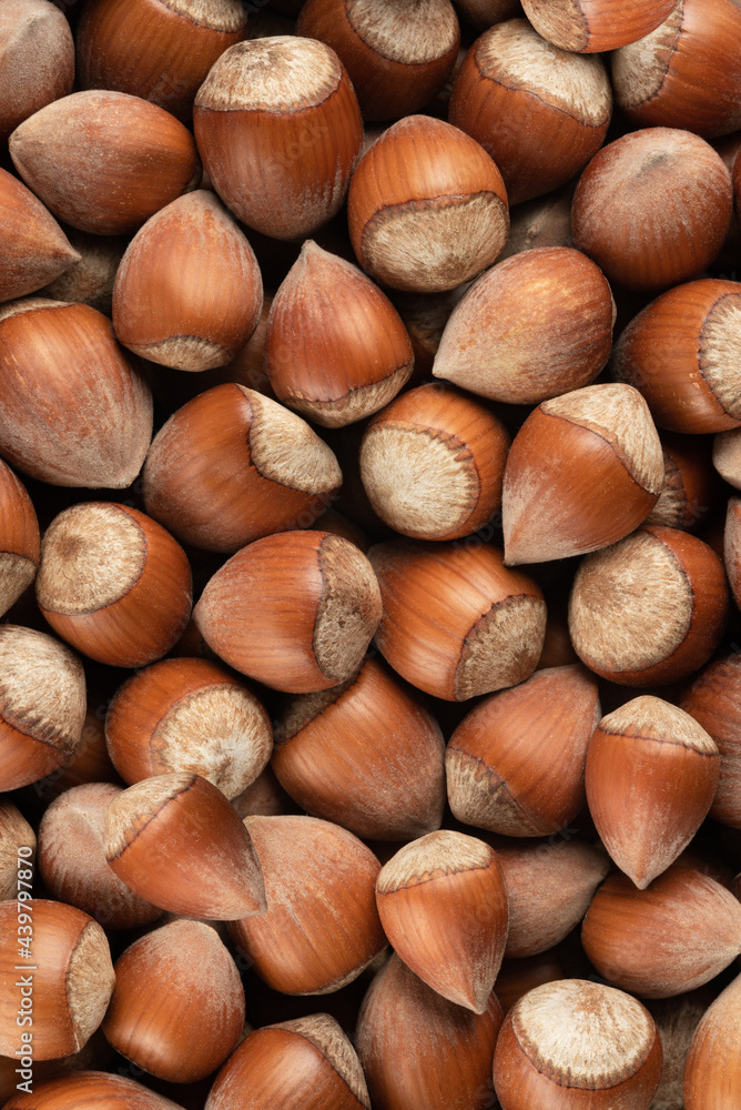 hazelnuts background. food background, texture hazelnuts background. food background, texture