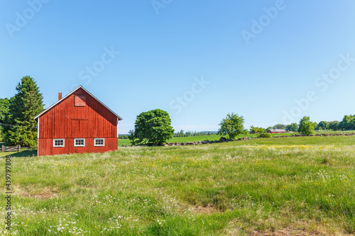Barn at a flowering meadow in an idyllic summer landscape