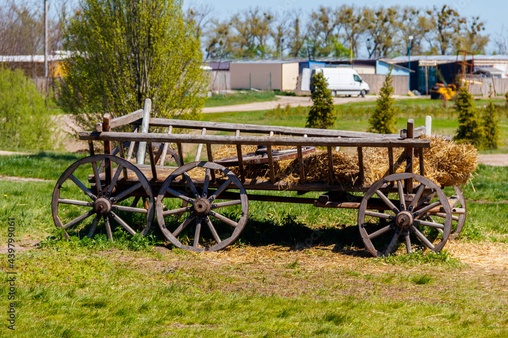 Old wooden cart with hay at farmyard