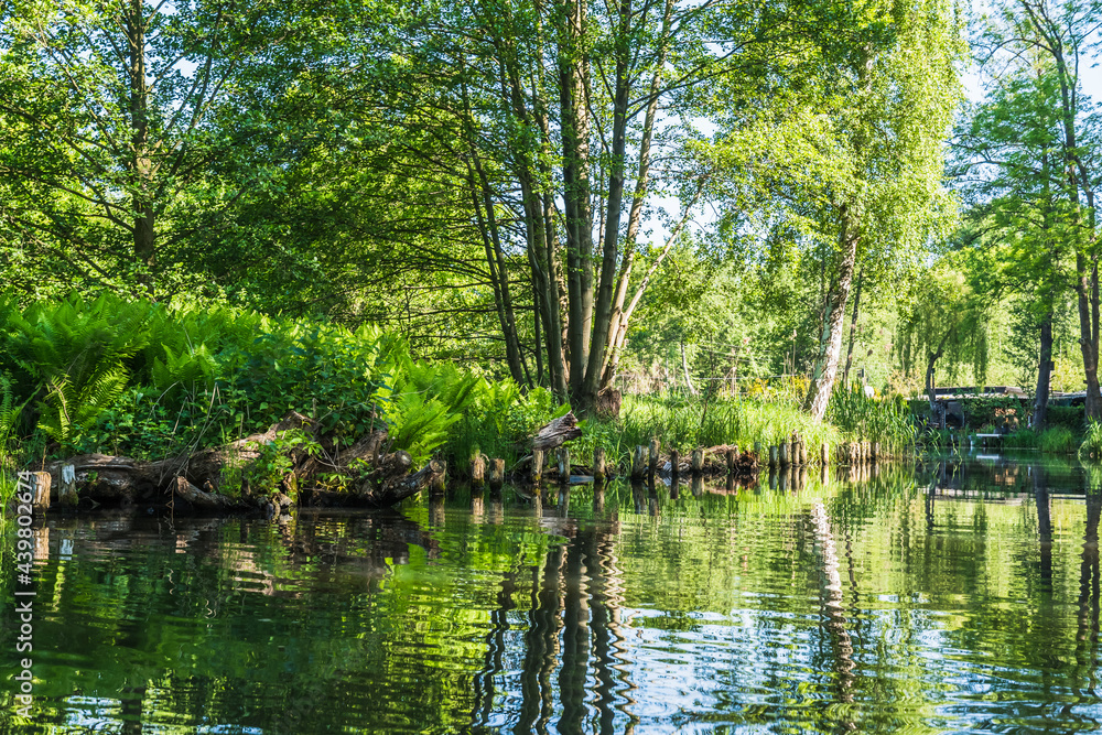 One of the numerous water canals in biosphere reserve Spree forest (Spreewald) in Luebbenau, Brandenburg, Germany, in springtime One of the numerous water canals in biosphere reserve Spree forest (Spreewald) in Luebbenau, Brandenburg, Germany, in springtime
