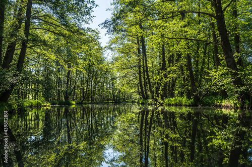 Water canal in the biosphere reserve Spree forest (Spreewald) in the state of Brandenburg, Germany © Daniela Baumann