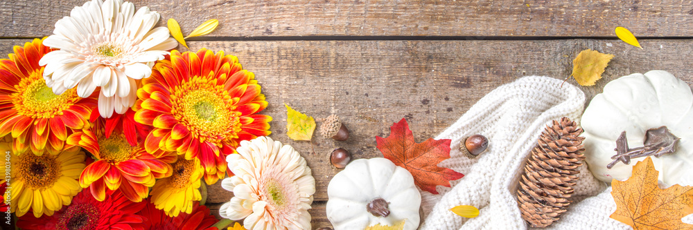 Cozy autumn background with with colorful flowers, red yellow leaves, white pumpkins and warm plaid, sweater on rustic wooden background. Fall, thanksgiving day concept. Flat lay, top view, copy space Cozy autumn background with with colorful flowers, red yellow leaves, white pumpkins and warm plaid, sweater on rustic wooden background. Fall, thanksgiving day concept. Flat lay, top view, copy space