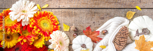 Cozy autumn background with with colorful flowers  red yellow leaves  white pumpkins and warm plaid  sweater on rustic wooden background. Fall  thanksgiving day concept. Flat lay  top view  copy space