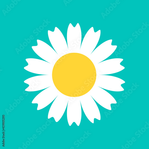 White Daisy Chamomile flower round icon. Camomile petal. Cute plant collection. Growing concept. Love card. Happy Valentines Day decoration. Flat design. Green background. Isolated.