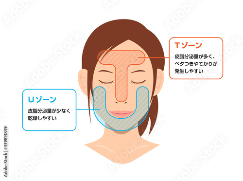顔の皮脂分泌の多い部位と少ない部位イラスト (TゾーンとUゾーン)
