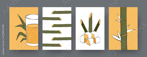 Collection of contemporary posters with sugarcane plants. Sugar cane cubes, glass of juice cartoon vector illustrations. Agriculture, nature concept for designs, social media, postcards