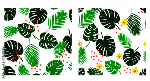 pattern of palmas