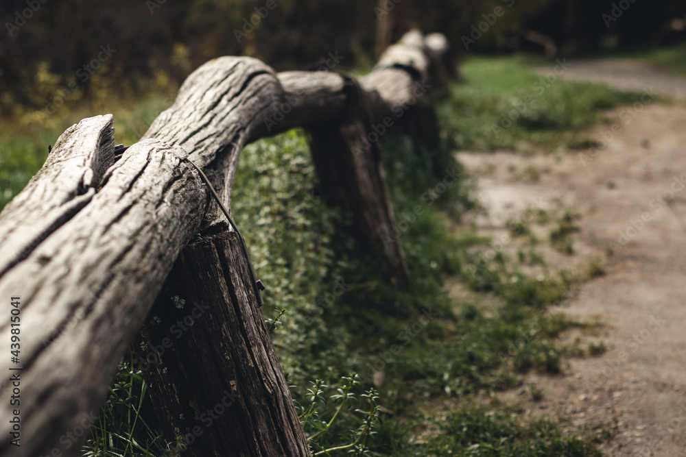 Obraz premium alte Wegbegrenzung eines Weges