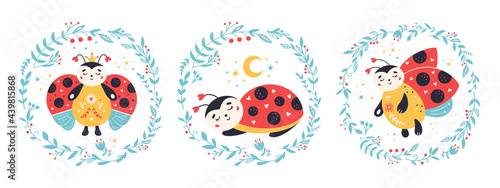 Ladybug ladybird vector set in cartoon style