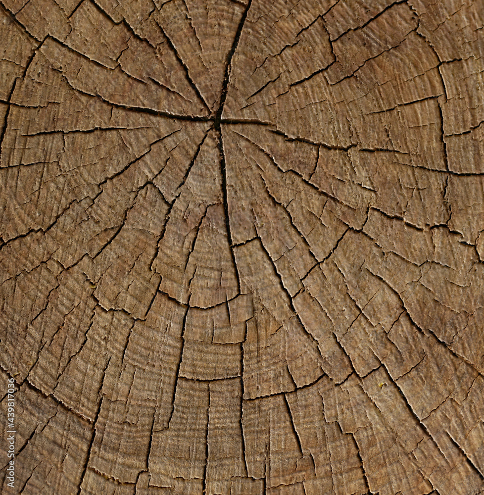 Fototapeta premium Cracked dark wooden background.The surface of brown wood texture