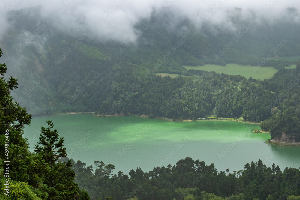 Sete Cidades lake with selective focus on cryptomeria and fog landscape, São Miguel - Azores PORTUGAL
