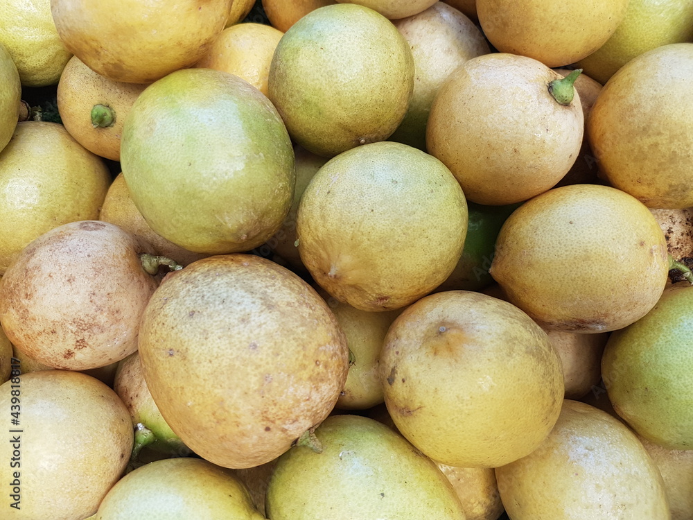 sweet citrus fruit orange for sale in the market sweet citrus fruit orange for sale in the market