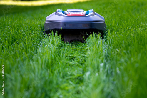 Fotografie Robot mower cutting high grass.