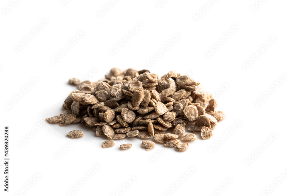 Pile of tomato seeds isolated on white ready to plant Pile of tomato seeds isolated on white ready to plant