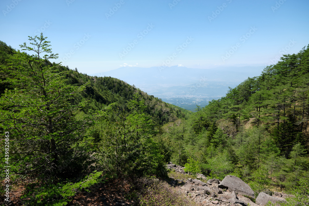 夏山　登山道