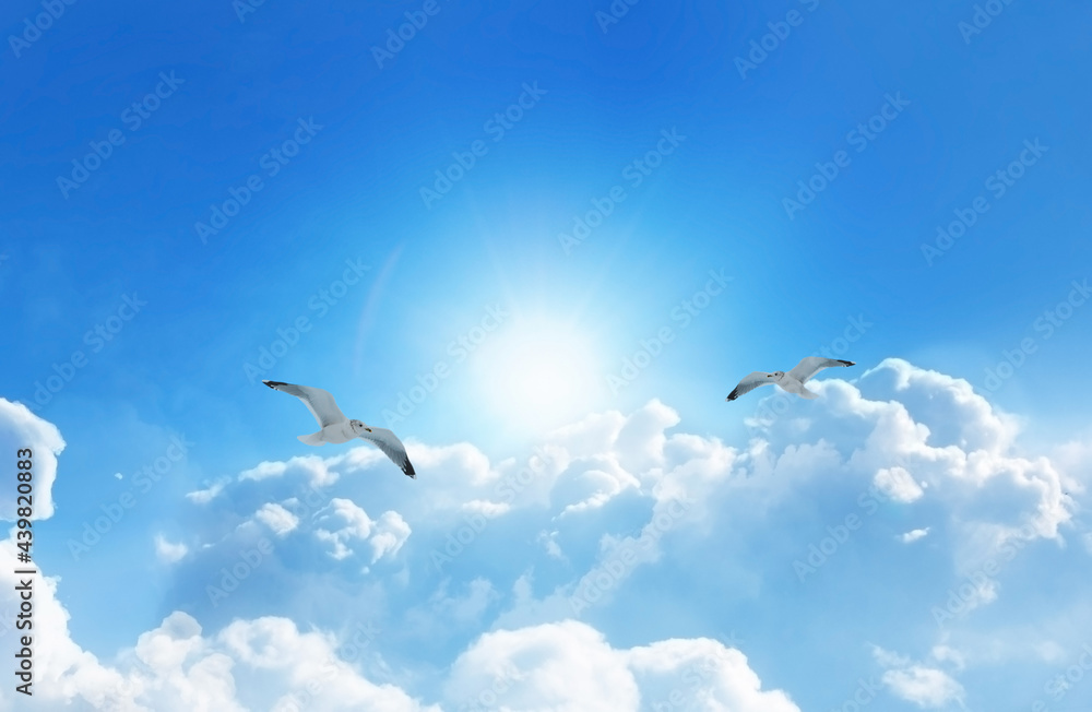 Two Birds soaring high above the clouds in a heavenly deep blue sky with fluffy clouds. Two Birds soaring high above the clouds in a heavenly deep blue sky with fluffy clouds.