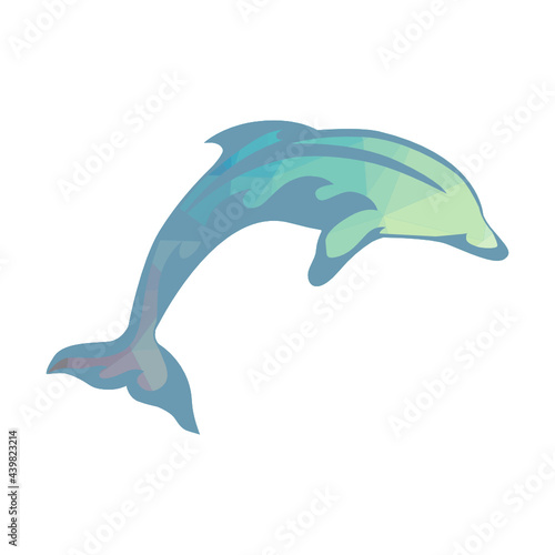 Dolphin  vector artwork