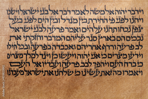  ancient hebrew hand-writing 01, closeup on writing of a precious Torah