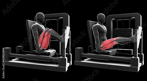3d Illustration of Horizontal Leg Press