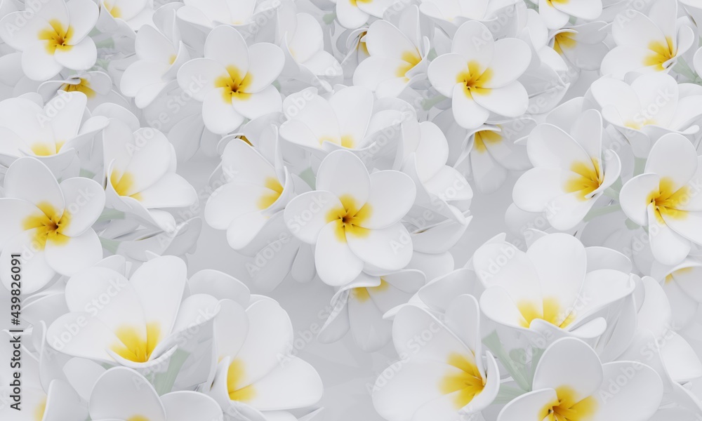 Plumeria flowers 3d illustration Plumeria flowers 3d illustration