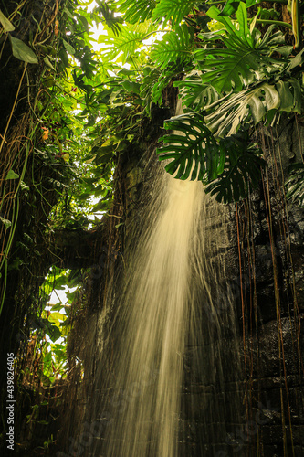 waterfall in the jungle © Mine