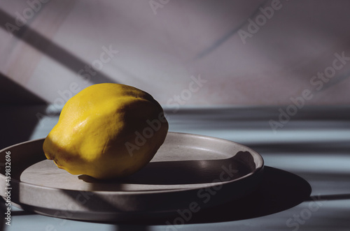 Yellow Quince on a blue background.