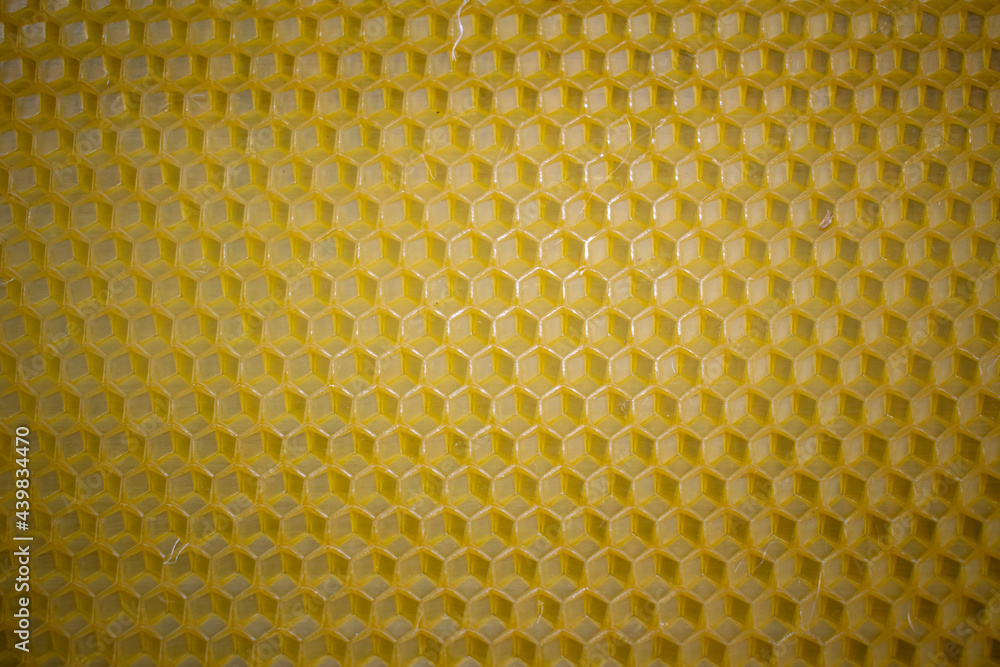 Close-up of a textured honeycomb