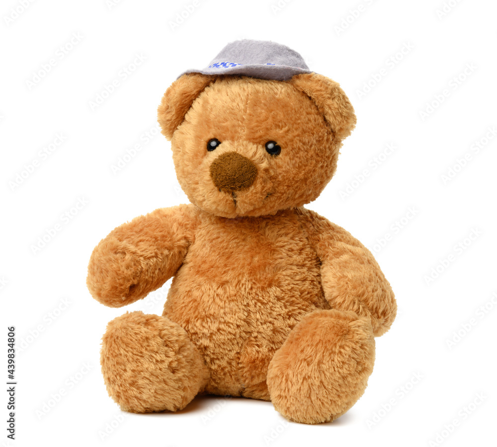 brown teddy bear in a felt hat sits on a white isolated background