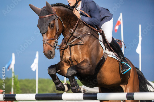 Equestrian Sports photo themed: Horse jumping, Show Jumping, Horse riding,  © Pratiwi