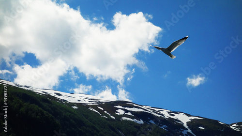clouds over the mountains. Magnificent landscape with snowy mountains and a gull that flies carefree, Hellesylt, Geiranger, Norway 