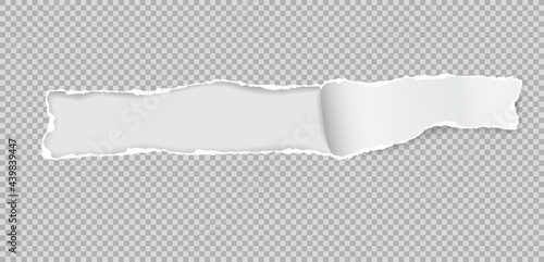 Oblong hole composition in squared paper with torn edges and soft shadow is on white background. Vector illustration