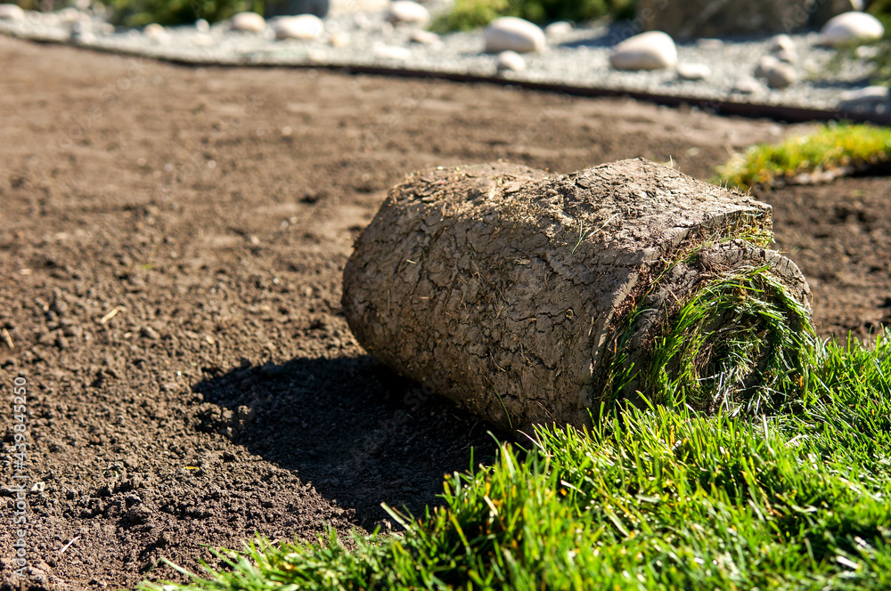 Stacking of roll green lawn grass outdoors Stacking of roll green lawn grass outdoors
