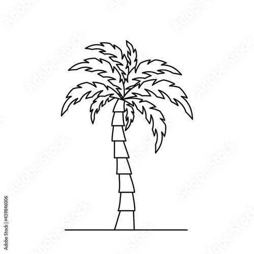 Palm tree icon. Linear coconut tree icon. Vector illustration. Palm vector icon. Black linear palm icon