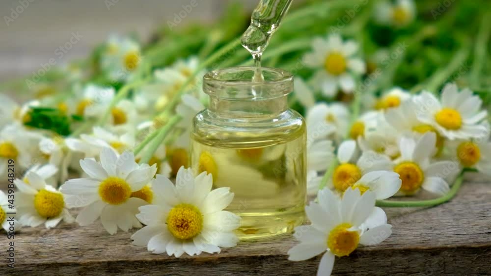 Chamomile extract in a small bottle. Selective focus. Chamomile extract in a small bottle. Selective focus.