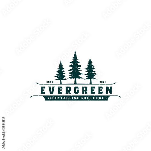 Pine, Evergreen, Fir, Hemlock, Spruce, Conifer, Cedar, Pinus Tree Forest Logo Design Vector