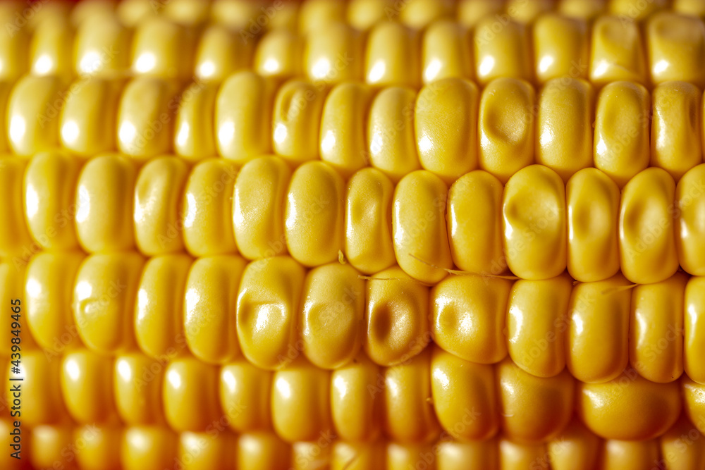 background of ripe yellow corn kernels close-up background of ripe yellow corn kernels close-up