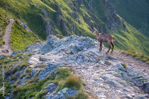Fototapeta Naklejka Na Ścianę i Meble -  góry