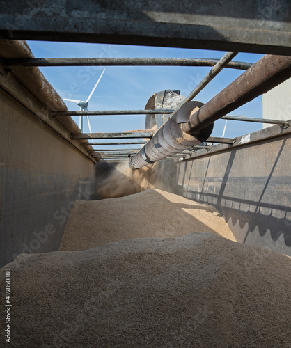 Shovel dumping bread in container of truck to be recycled for petfood. Sustainability. Transport.  photo