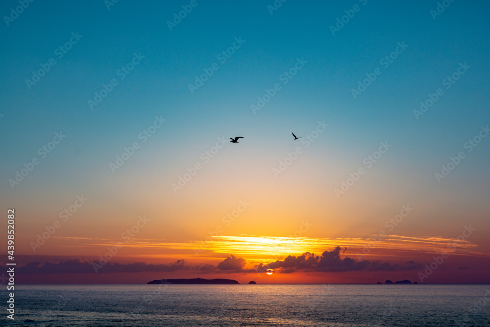 Sunset with Birds and Ocean 