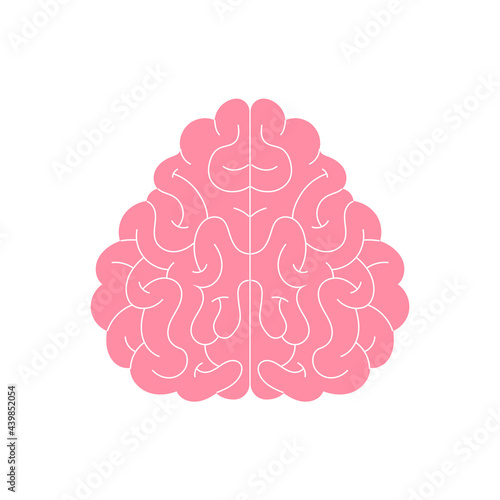 Vector human brain silhouette, icon. Neuropsychology, medicine, creativity, memory problems, dementia. Flat illustration isolated on white background