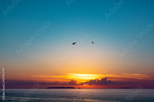 Sunset with Birds and Ocean 