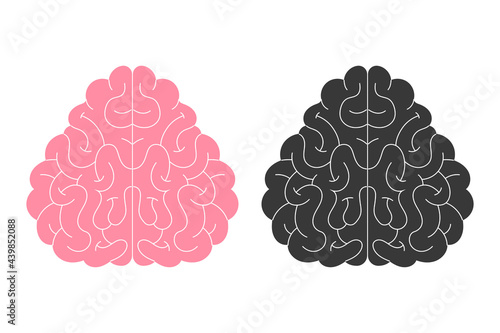 Vector human brain silhouette, icon. Neuropsychology, medicine, creativity, memory problems, dementia. Flat illustration isolated on white background